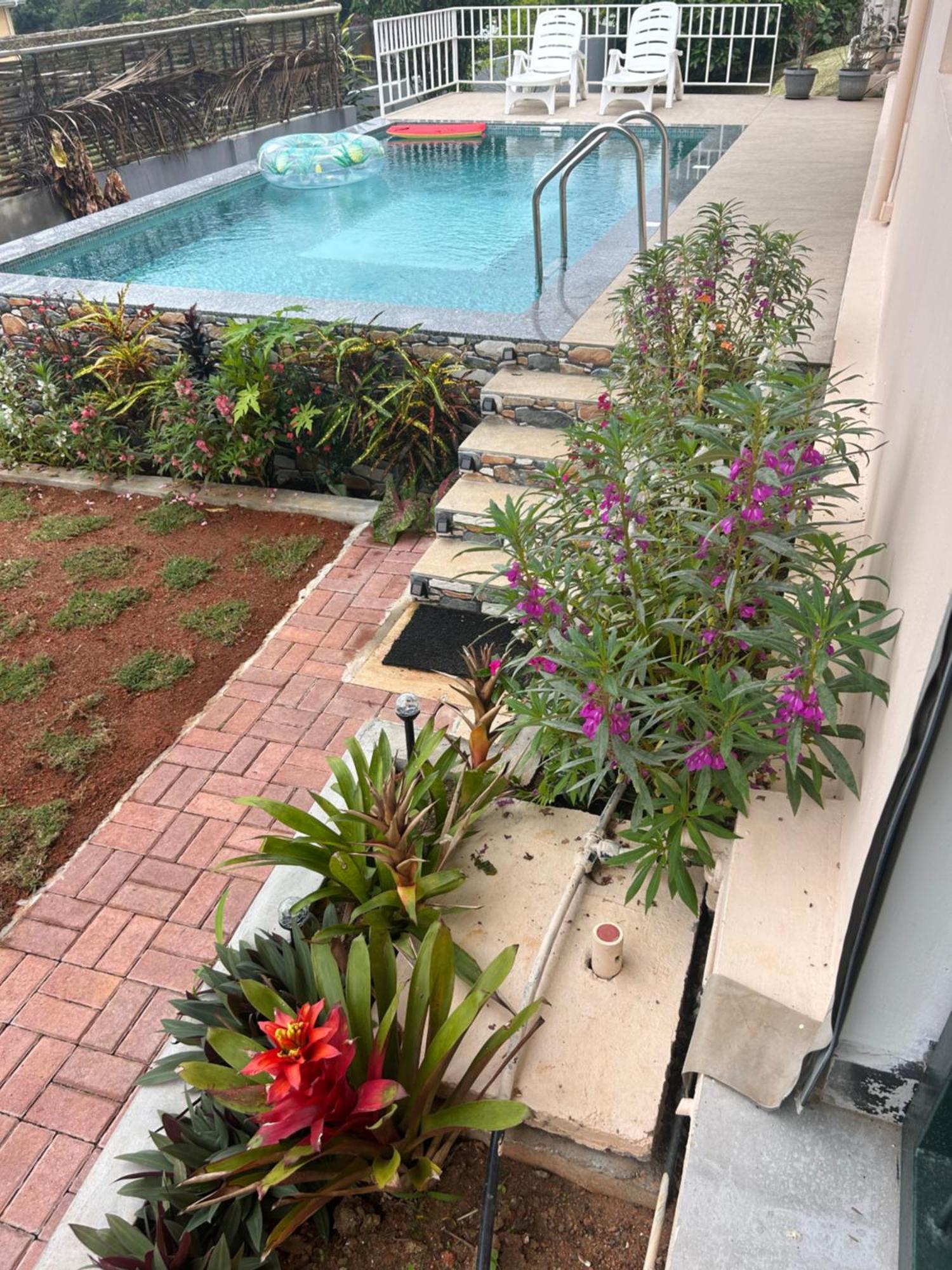 The Olive Tree Apartment Misere Exterior photo